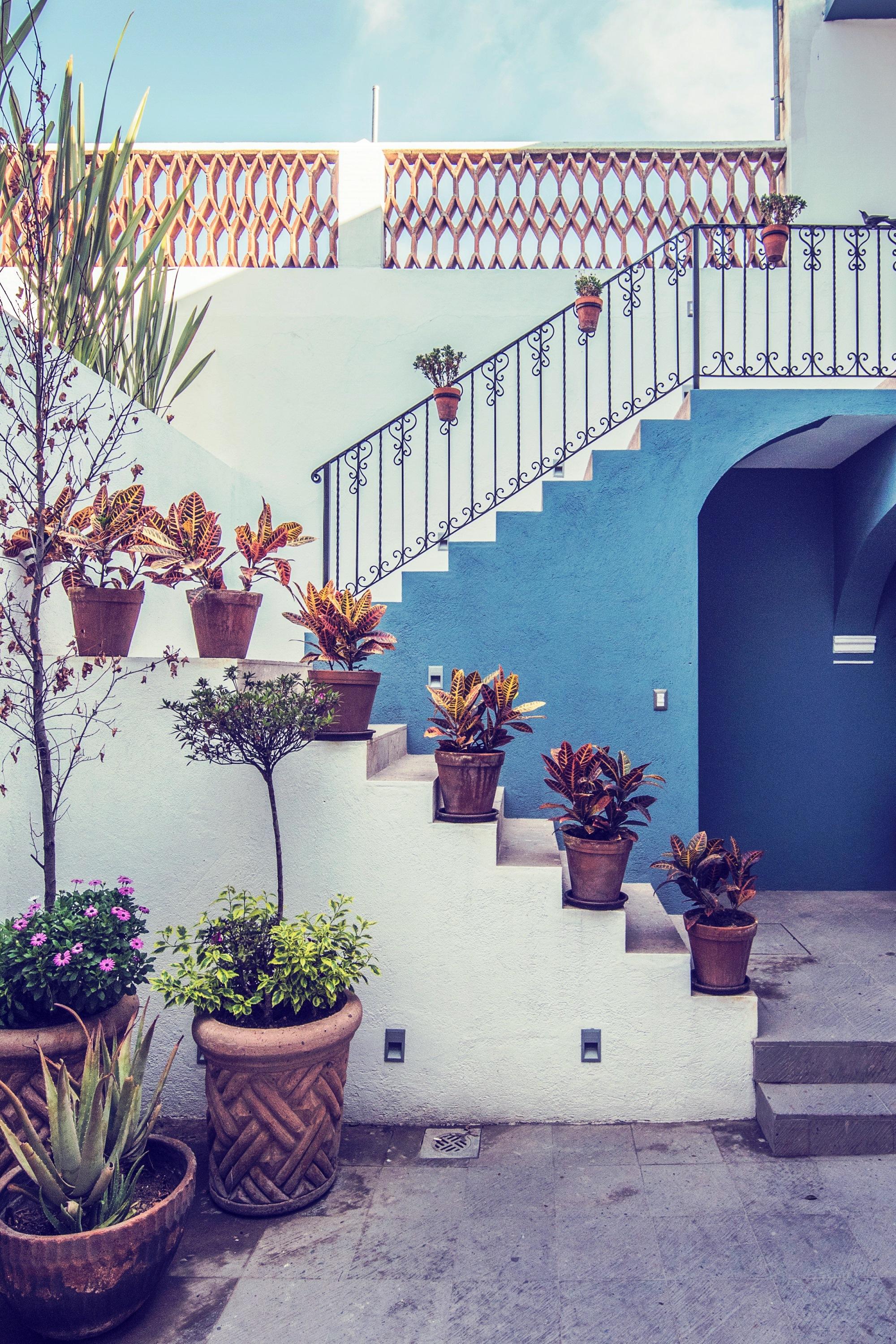 Hotel Boutique Casa Altamira 케레타로 외부 사진